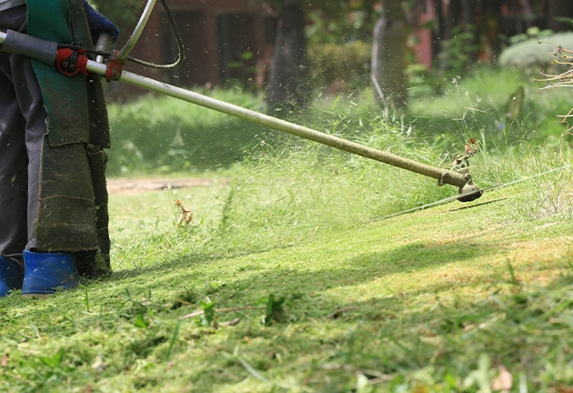 Entretien des espaces verts - Professionnels & Copropriétés