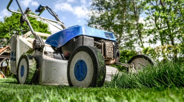 Entretenir son jardin toute l’année