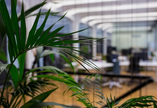 Végétalisation de vos espaces